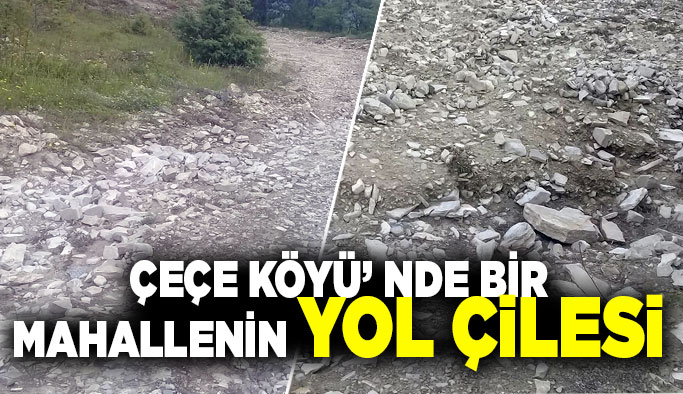 Çeçe Köyü Sofukızı Mahallesi’nde Yol Çilesi Sürüyor: “Sesimizi Duyun!”