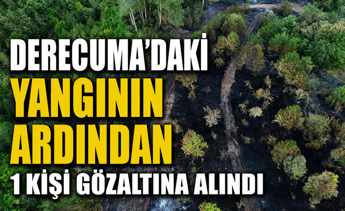Derecuma’daki Orman Yangınıyla İlgili 1 Kişi Gözaltına Alındı