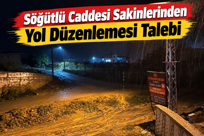 Söğütlü Caddesi' nde yol talebi